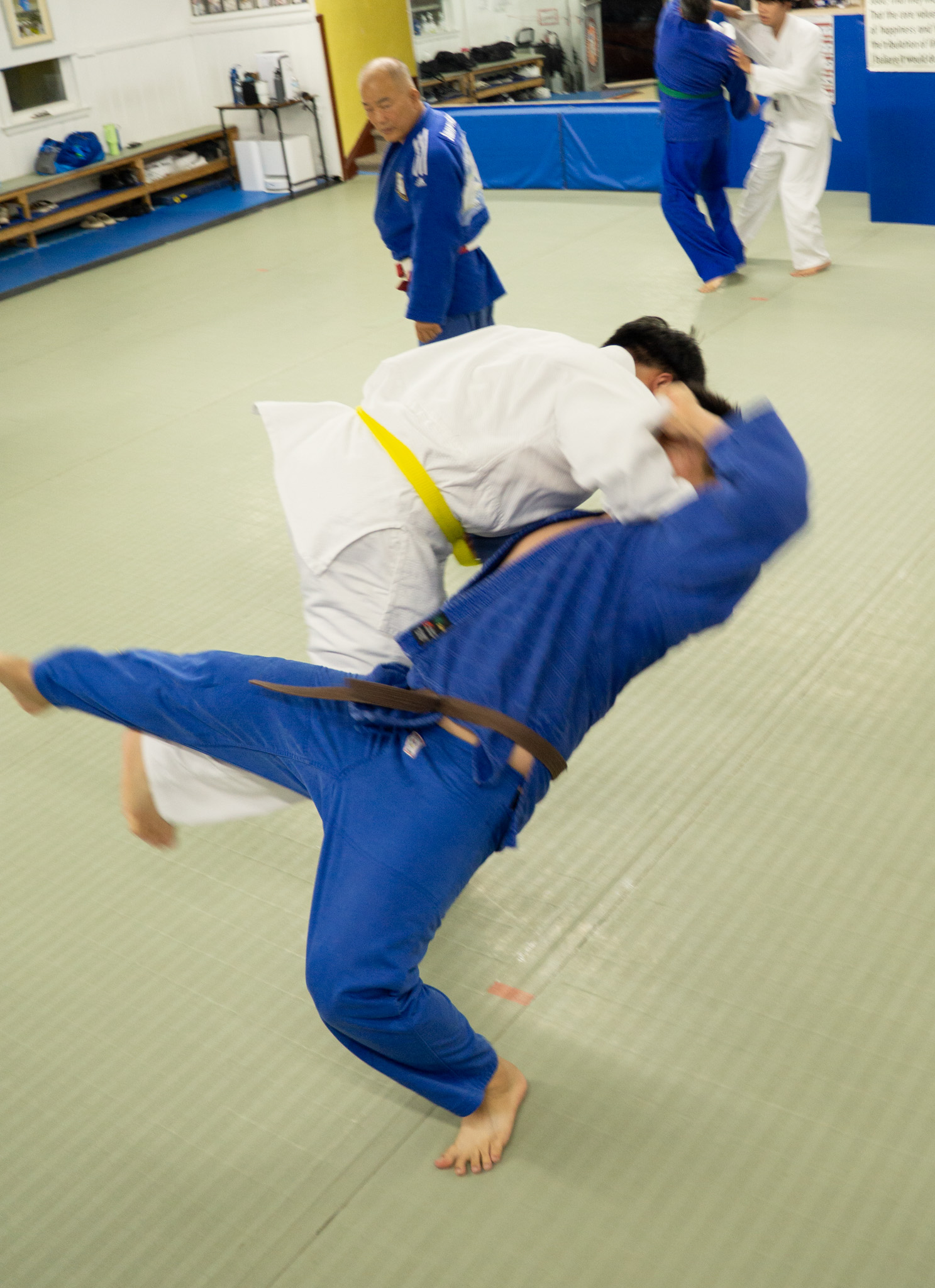 Advanced judo technique training
